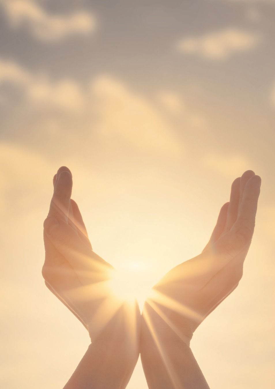 How do the sessions take place?